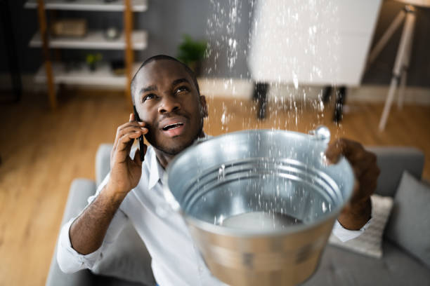 Best Mold removal after water damage  in Stow, OH