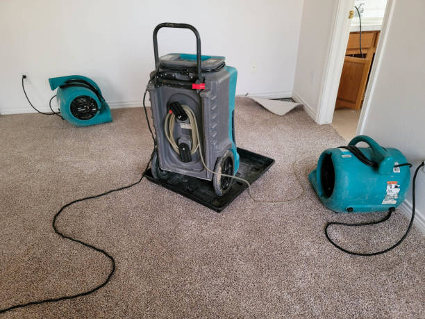 Best Flooded house restoration  in Stow, OH