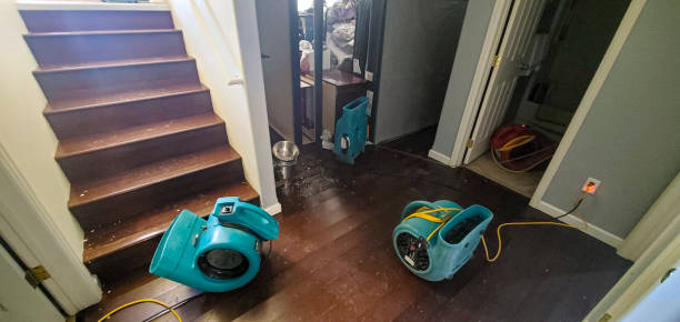 Best Commercial water damage restoration  in Stow, OH