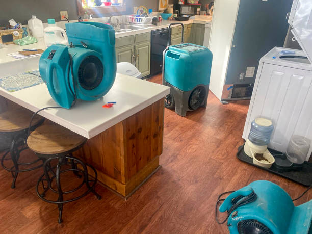 Best Water damage restoration near me  in Stow, OH