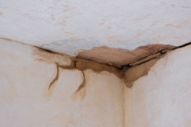 Best Carpet water damage restoration  in Stow, OH
