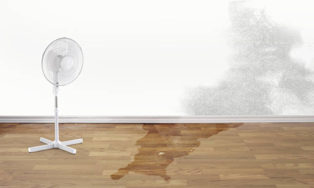 Best Ceiling water damage repair  in Stow, OH