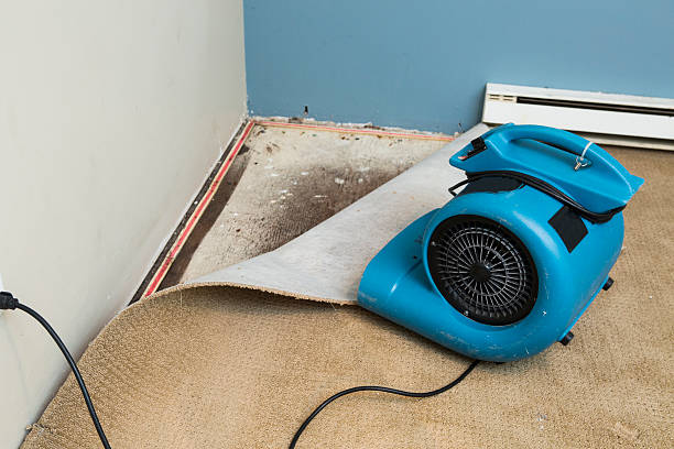 Best Residential water damage restoration  in Stow, OH
